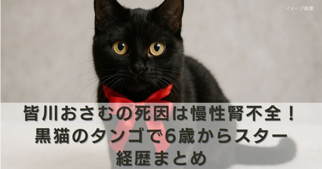 アイキャッチ画像